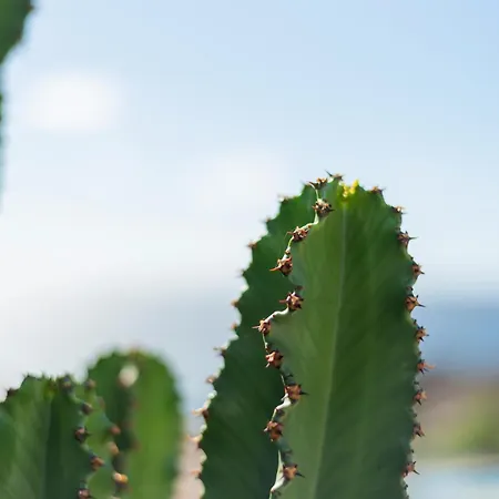 Penthouse Amarilla Golf - 7 Pools- דירה סן מיגל דה אבונה