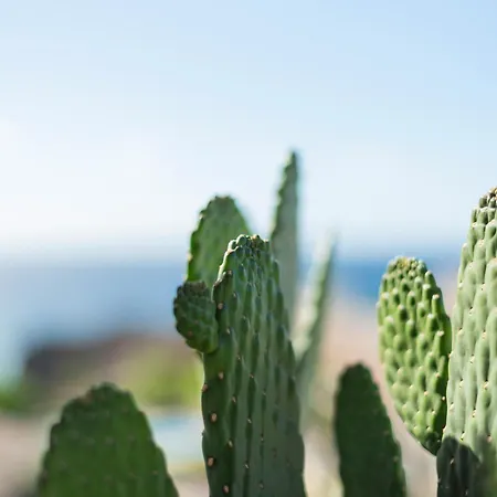 דירה Penthouse Amarilla Golf - 7 Pools- *