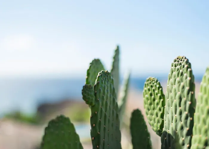 דירה Penthouse Amarilla Golf - 7 Pools- *